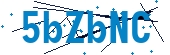 recaptcha